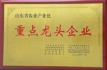 山東省農(nóng)業(yè)產(chǎn)業(yè)化重點龍頭企業(yè)
